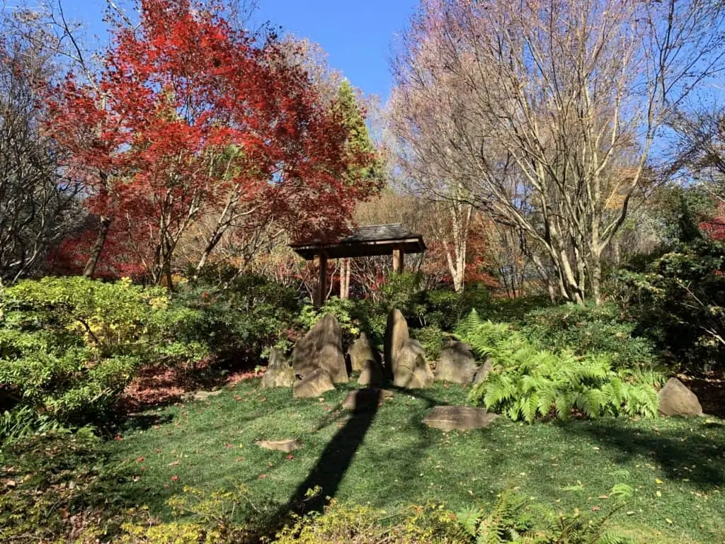 Gibb's Garden Nov 11, 2021